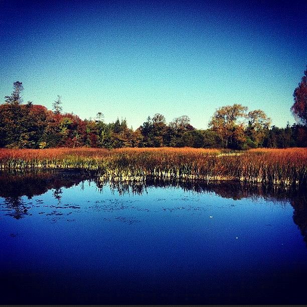 Fall Photograph - #ireland #autumn #fall #iphonesia #blue by Mark Hollywood