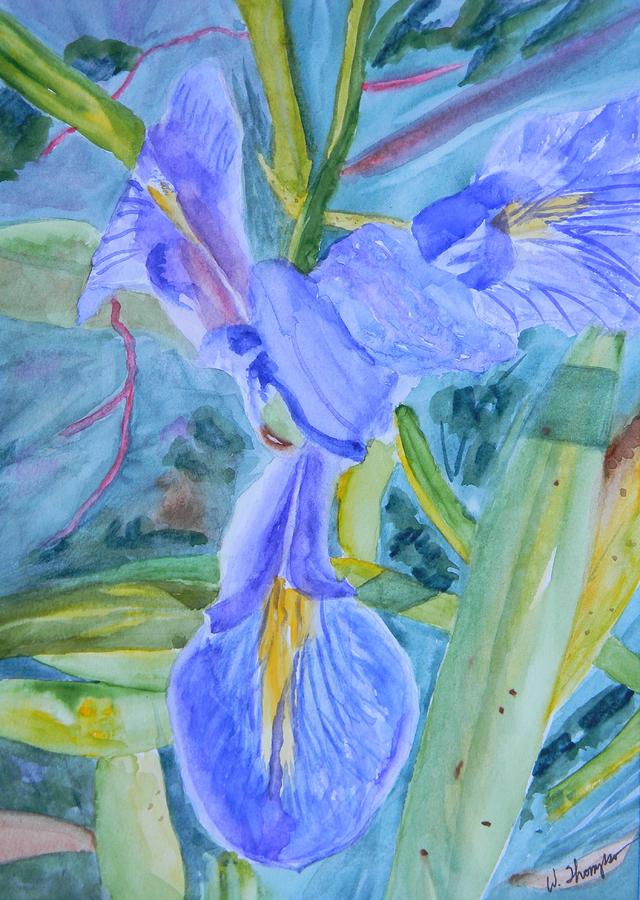 Iris Among the Grass  Painting by Warren Thompsom