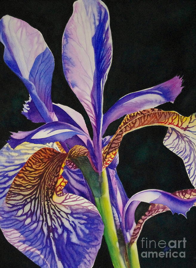 Iris Painting by Greg and Linda Halom