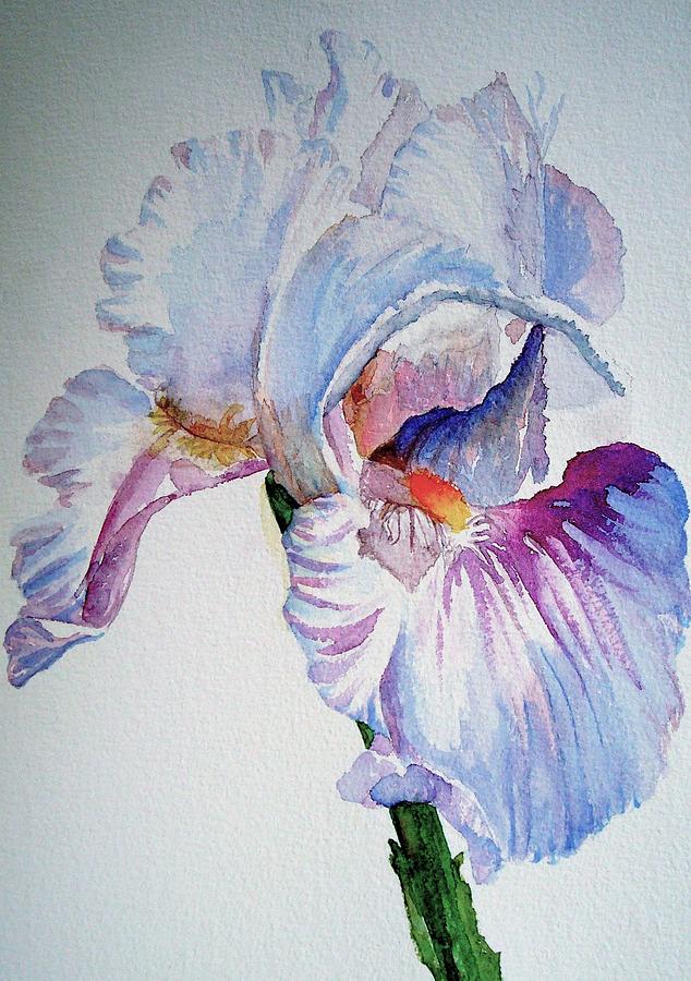 Iris in the Garden Painting by Sharon Mick