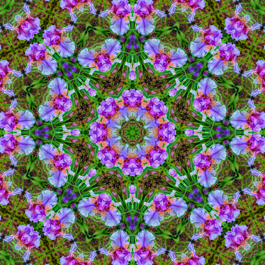 Iris Kaleidoscope Digital Art by Lynne Jenkins