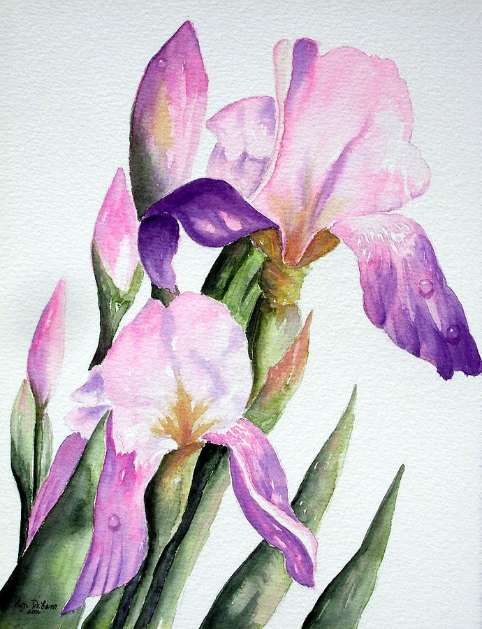 Iris Painting by Lyn DeLano