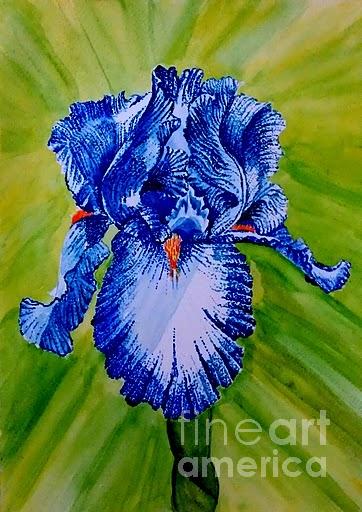 Iris on Stippling Painting by Agnesdale Black Pixels