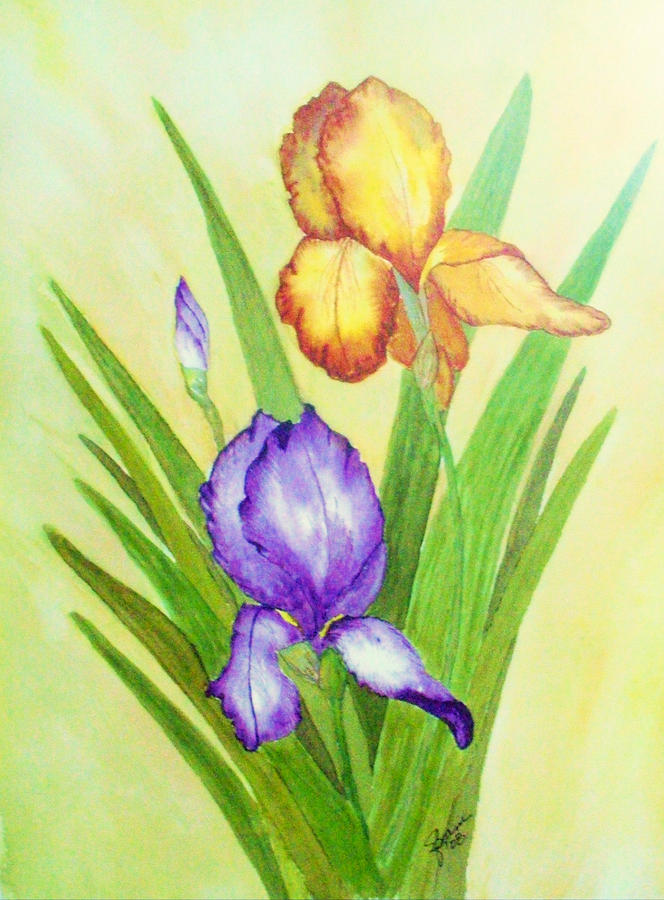Iris Pair Painting by Elise Boam