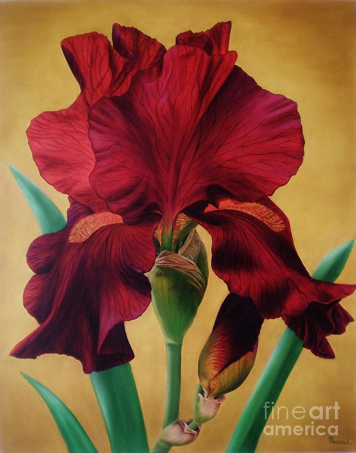 Iris Painting by Paula Ludovino