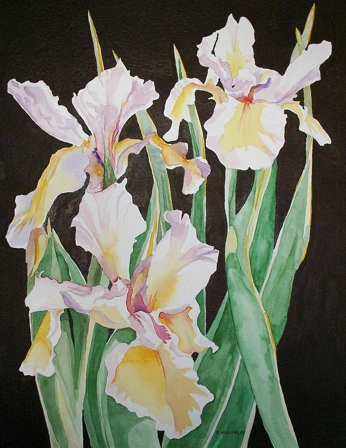 Iris  Painting by Richard Willows