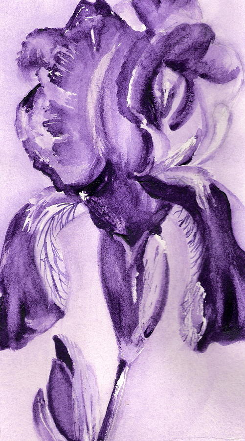 Iris Study in Purple Painting by Marsha Woods