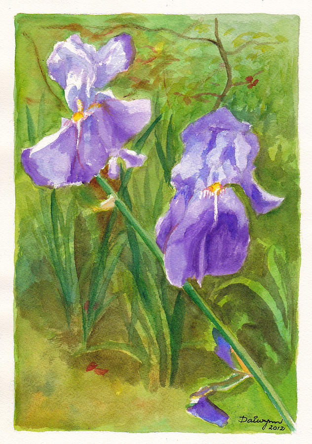 Irises in our front garden Painting by Dai Wynn