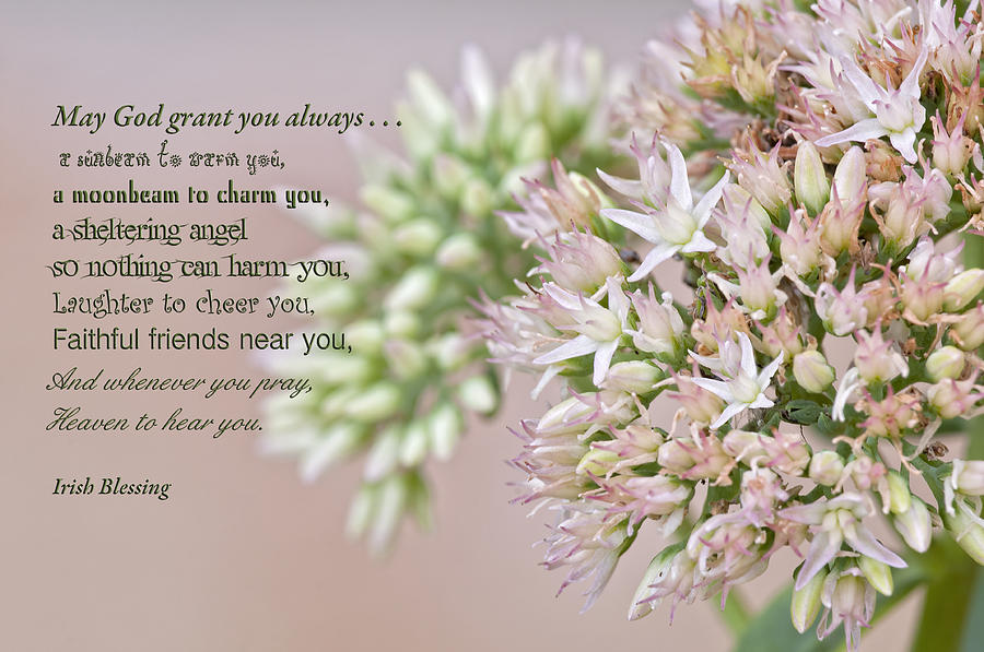 Irish Blessing Photograph - Irish Blessing by Bonnie Barry