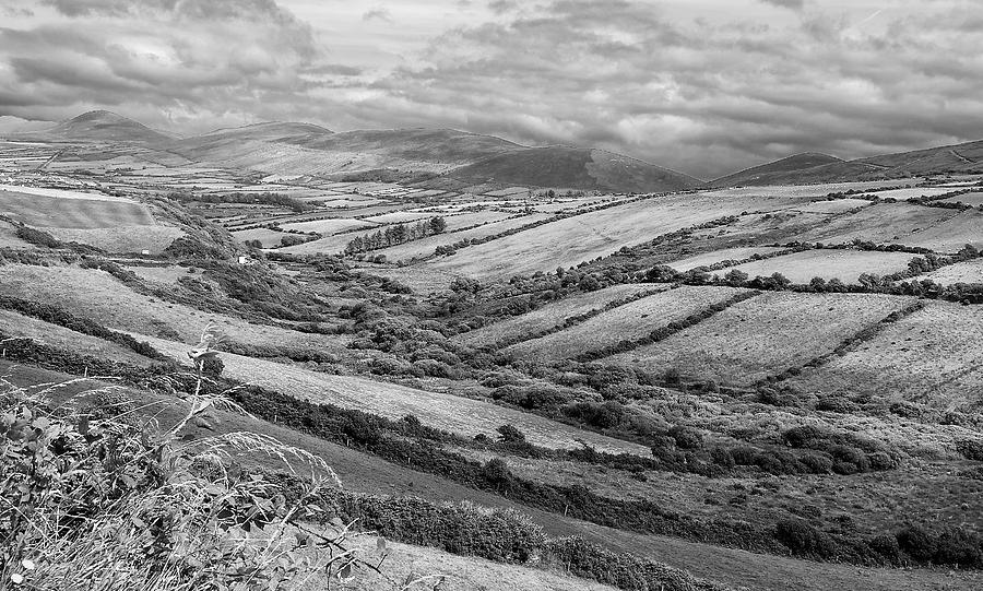 Bw Photograph - Irish Fields by David Resnikoff Bw Photograph - Irish Fields by David Resnikoff