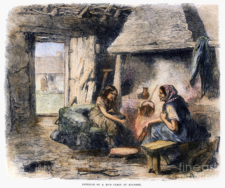 Irish Peasant Cabin, 1870 Photograph by Granger