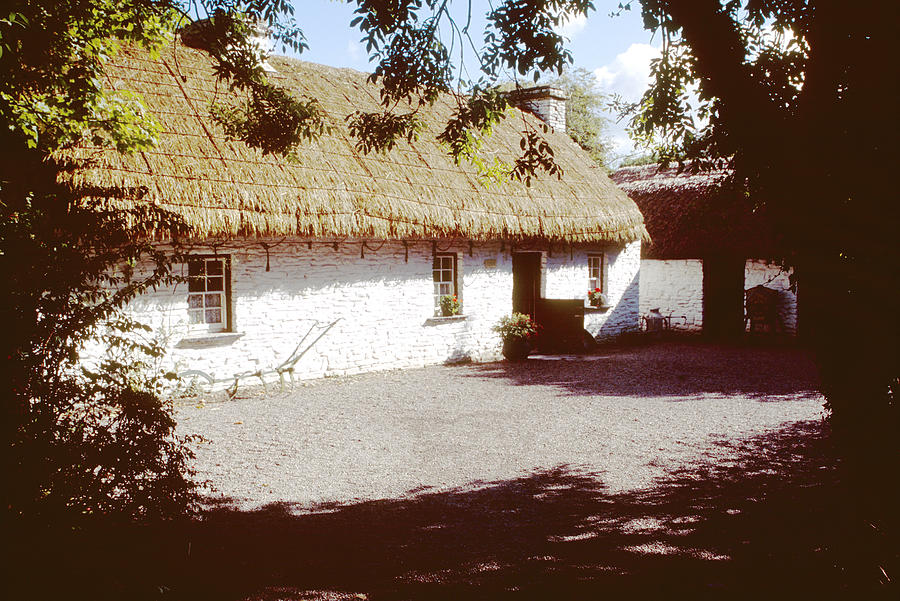 Tree Photograph - Irish Thatched Cottage by House of Joseph Photography