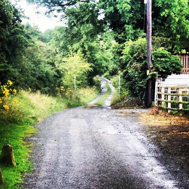 Irl 07 The Old Ballybay Rd Photograph by Julia Patterson
