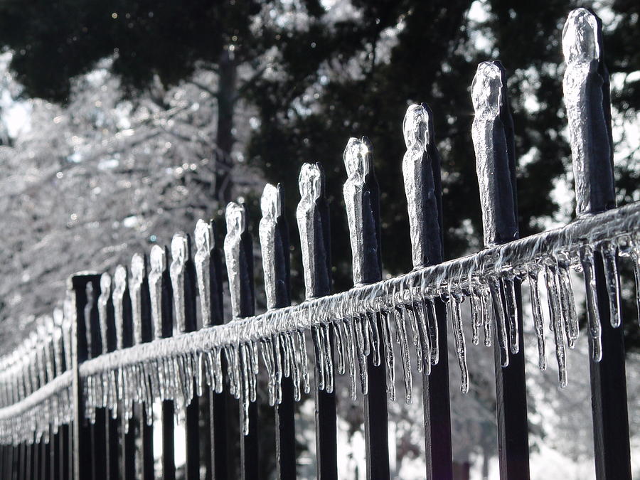 Iron and Ice 1 Photograph by Elizabeth Sullivan