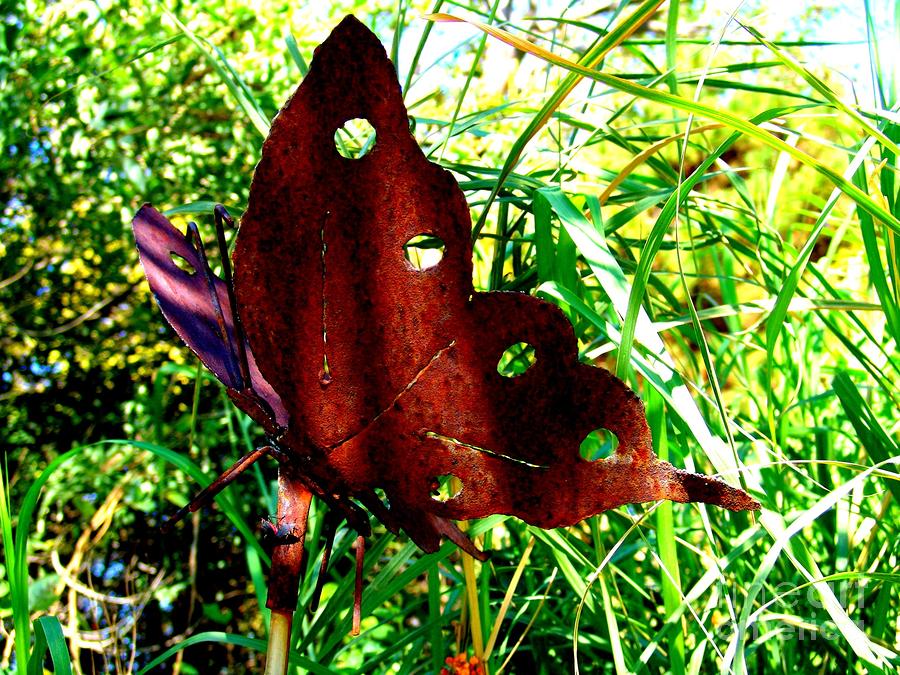 Iron Butterfly Photograph by Megan Ford-Miller