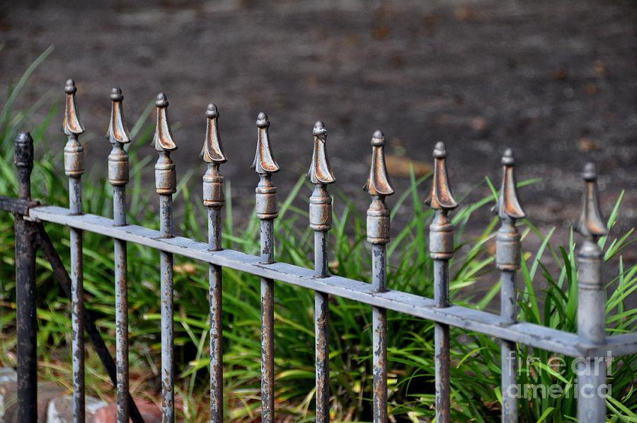 Iron Fence Photograph by John Black