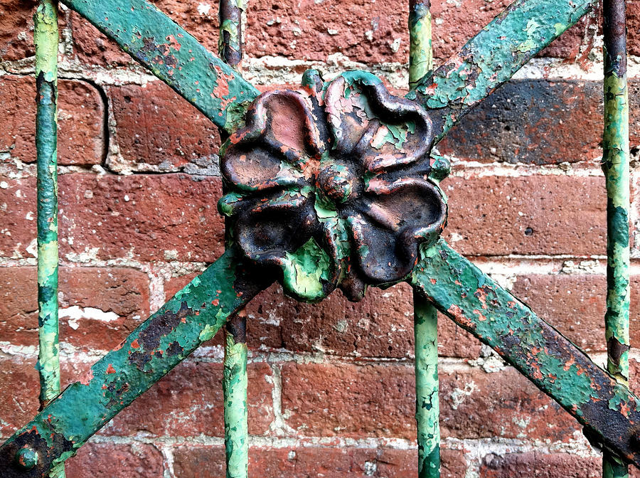 Iron Flower Photograph by Frank Winters