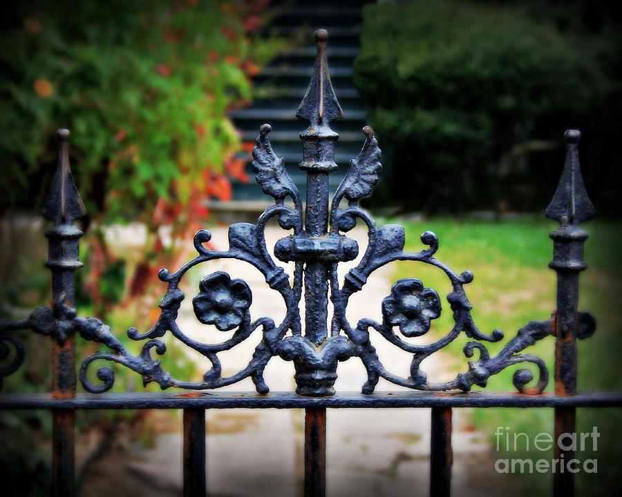 Iron Gate Photograph by Perry Webster