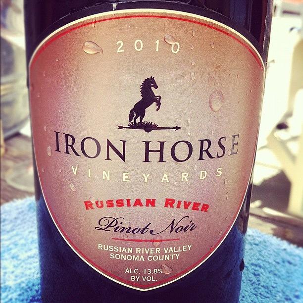 Wine Photograph - Iron Horse Pinot Noir by Crystal Peterson