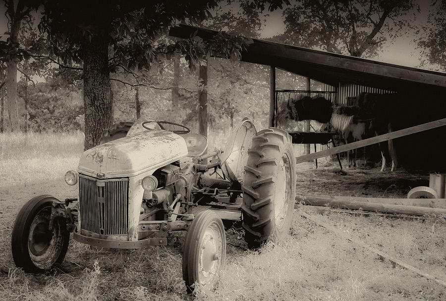 Rural Scene Photograph - Iron Workhorse in Sepia by Tony Grider