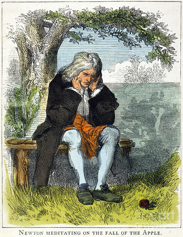 Isaac Newton (1643-1727) by Granger