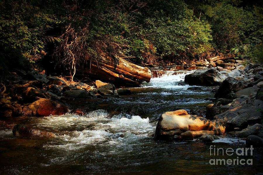 Nature Photograph - Isabella Creek by Steve Patton
