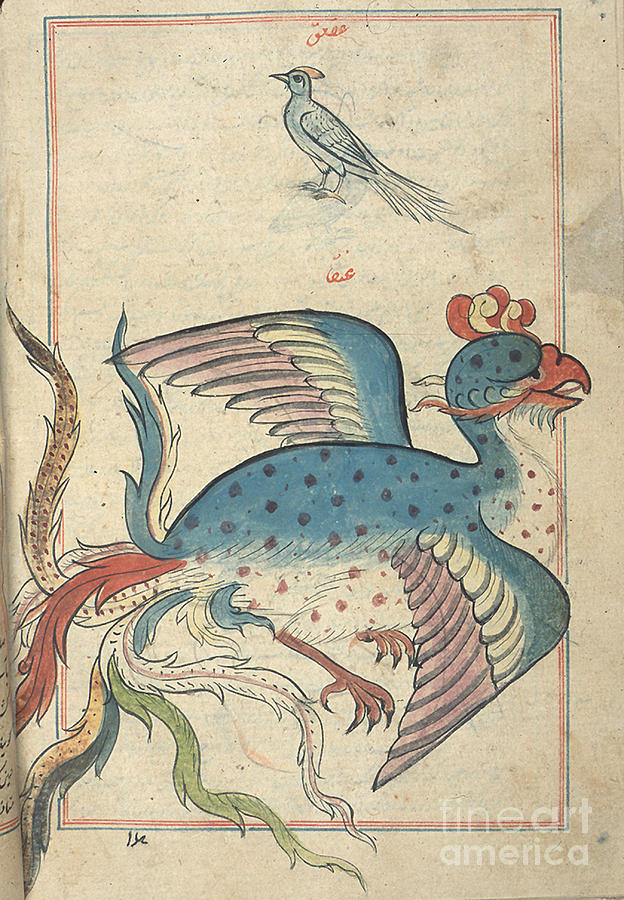 Islamic Mythical Bird, Simurgh, 17th Photograph by Science Source