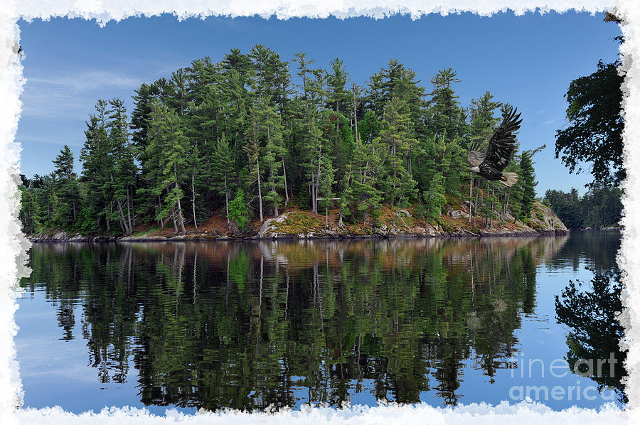 Island at Lake of Woods at Canada Photograph by Dan Friend
