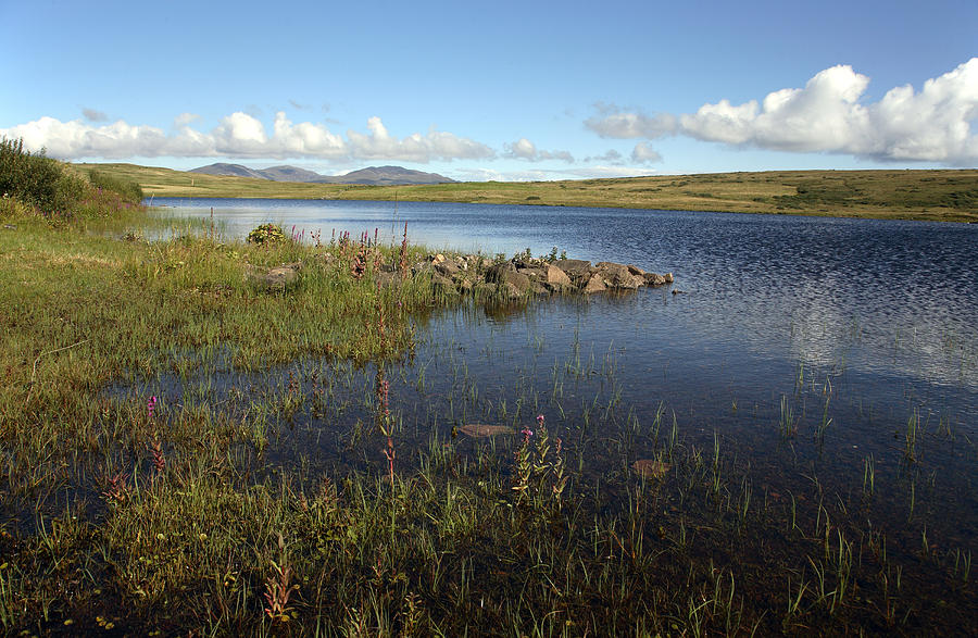 Islay Loch Finlaggan Photograph by David Harding