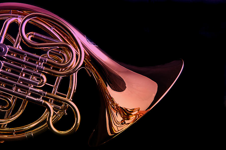 Isolated French horn Photograph by M K Miller