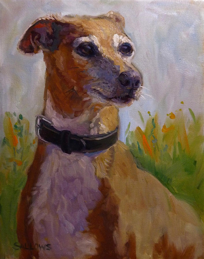 Italian Grayhound Painting by Nora Sallows