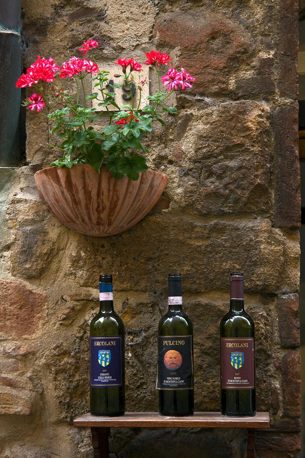 Italian Wine and Flowers Photograph by Sally Weigand