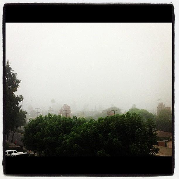 Its Foggy Outside! Photograph by Orangecounty Gal