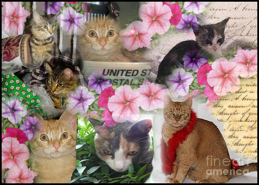 Itty Bitty Kitties Digital Art by Ruby Cross
