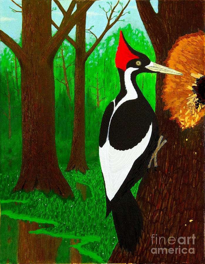 Ivory-Billed Woodpecker Painting by L J Oakes