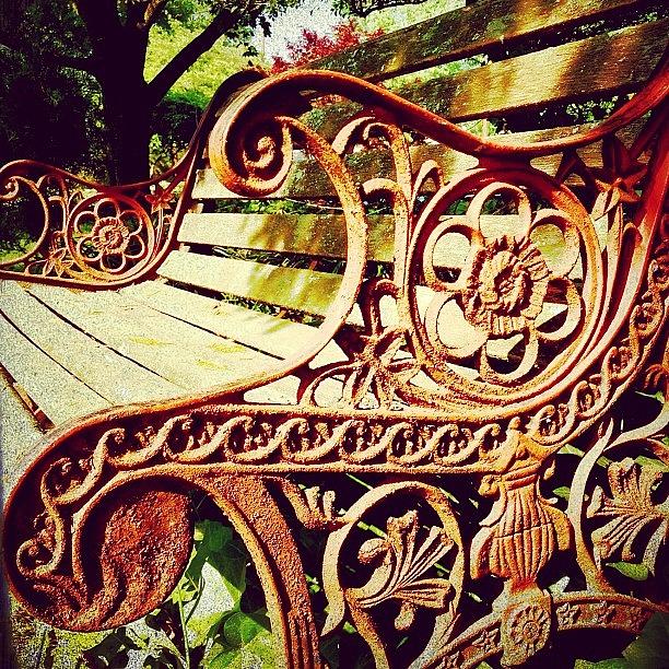 Vintage Photograph - #ivy #bench #rust #old #vintage by A Loving