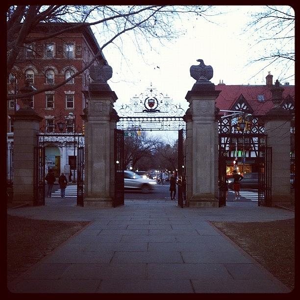 Princeton University Photograph - Ivy League Gates by Kristenelle Coronado
