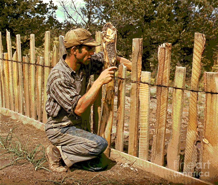 Jack Whinery Repairing Fence Photograph by Padre Art