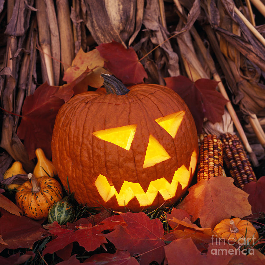 Pumpkin Photograph - Jacks Grim Grin - FM000065 by Daniel Dempster