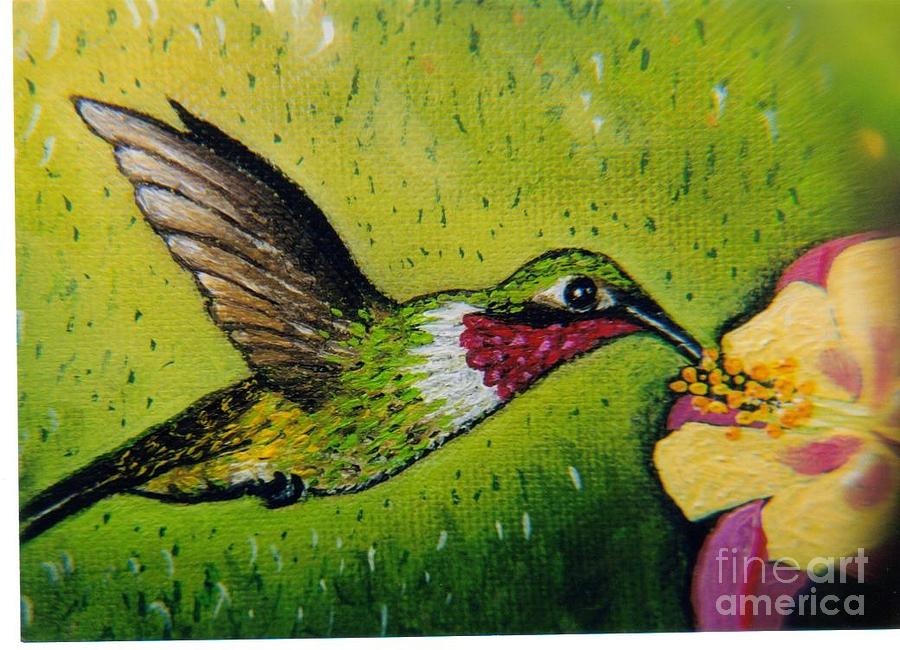 Hummingbird Painting - Jacks Hummingbird by William Ohanlan