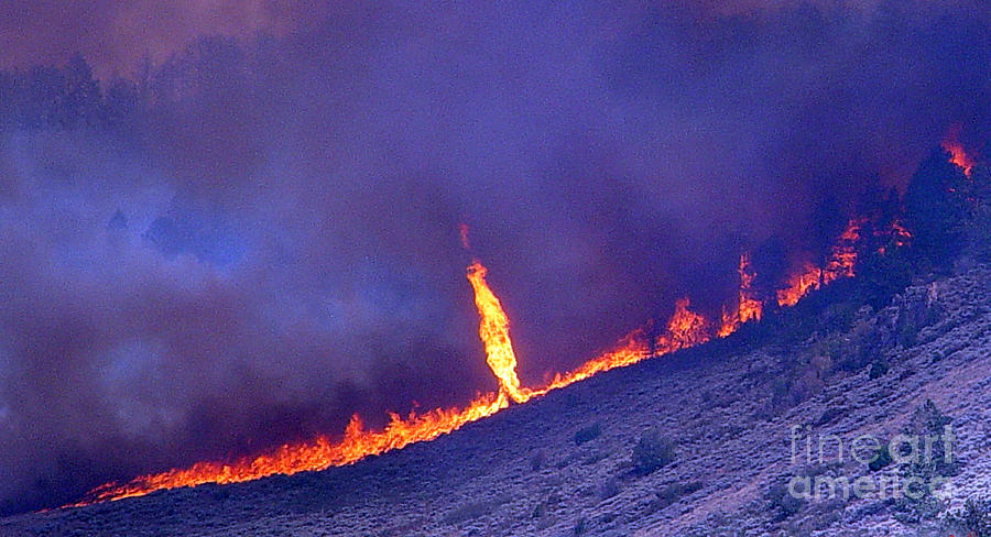 Jackson Canyon Fire, 2006 Photograph by Science Source