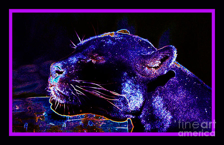 Jaguar Photograph - Jaguar Dreaming Your Tomorrow by Susanne Still Jaguar Photograph - Jaguar Dreaming Your Tomorrow by Susanne Still