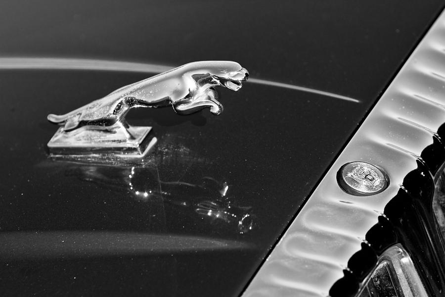 Jaguar Hood Ornament in Black and White Photograph by James BO Insogna