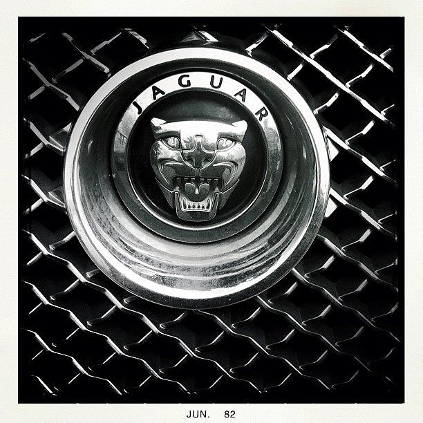 Jaguar Logo Photograph by Henk Goossens