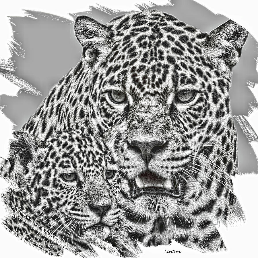 Jaguar Motherhood Digital Art by Larry Linton