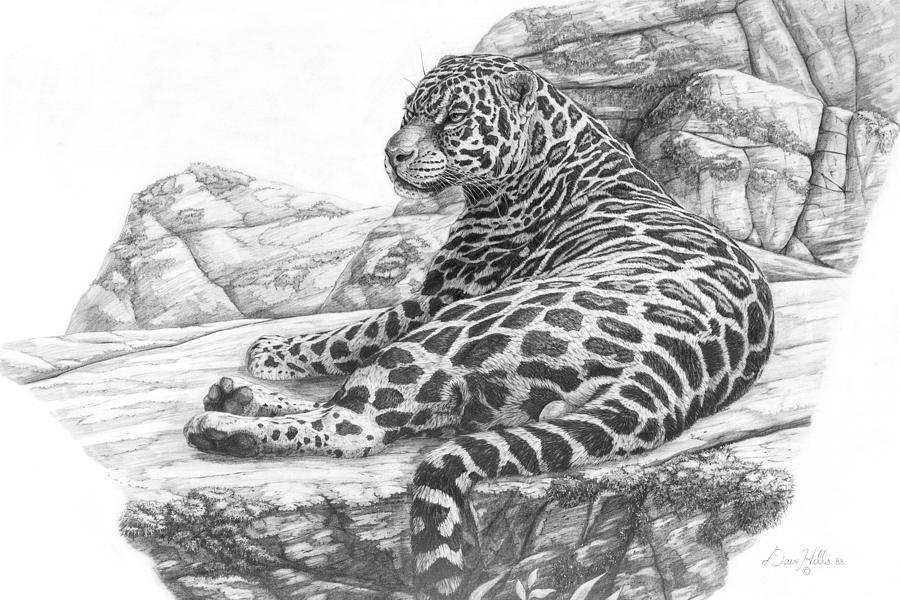 Jaguar Relaxing Painting by Dave Hills