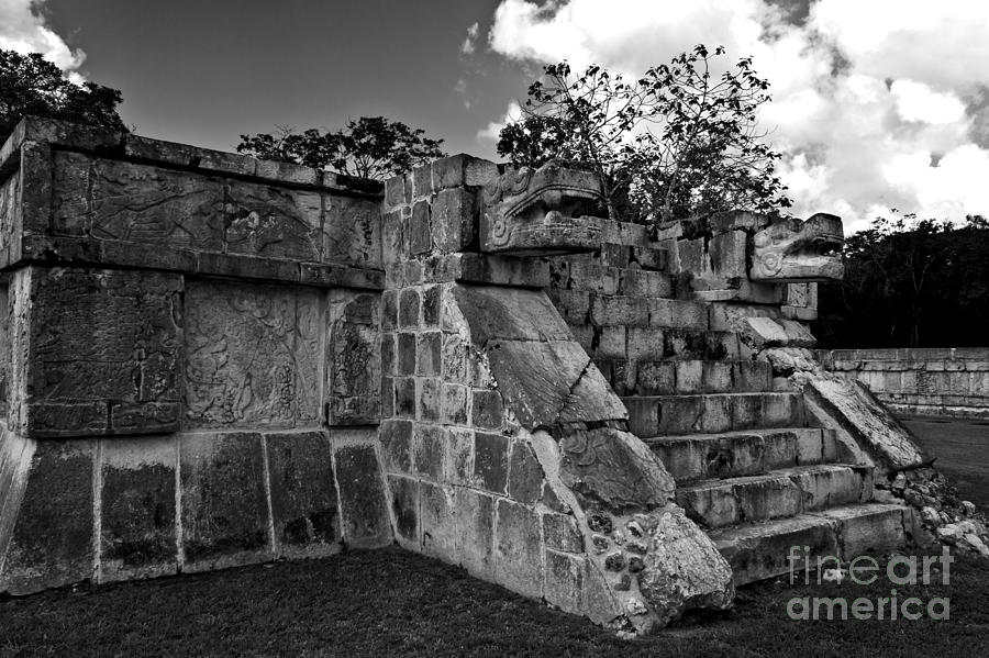 Jaguar Stairs Black and White Photograph by Ken Frischkorn
