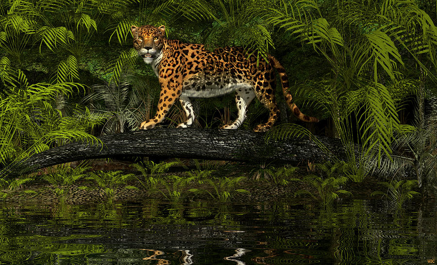 Jaguar Digital Art by Walter Colvin