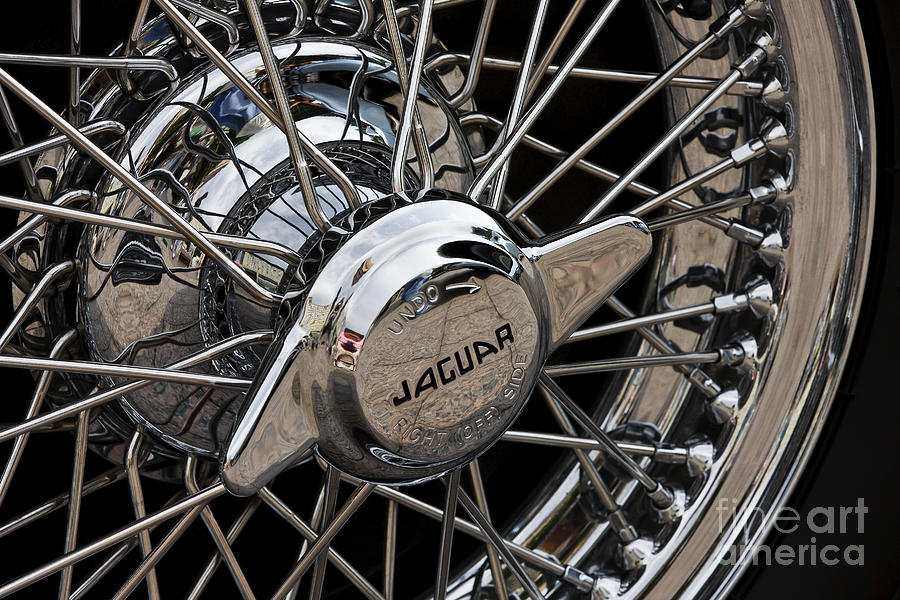 Jaguar Wire Wheel Photograph by Dennis Hedberg