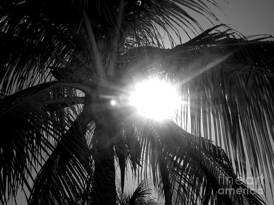 Black And White Photograph - Jamaica Sun by Anna  Duyunova